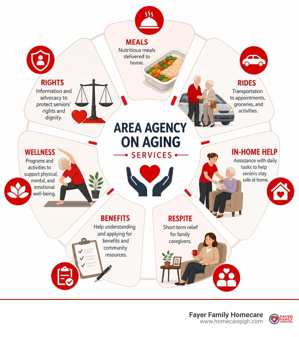 Area Agency on Aging services: meals, rides, in-home help, respite, benefits, wellness, and rights infographic