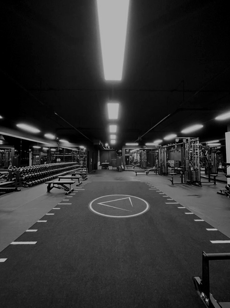 The Alive studio floor with dumbbell racks, cable machines and the A.LIVE triangle on the turf
