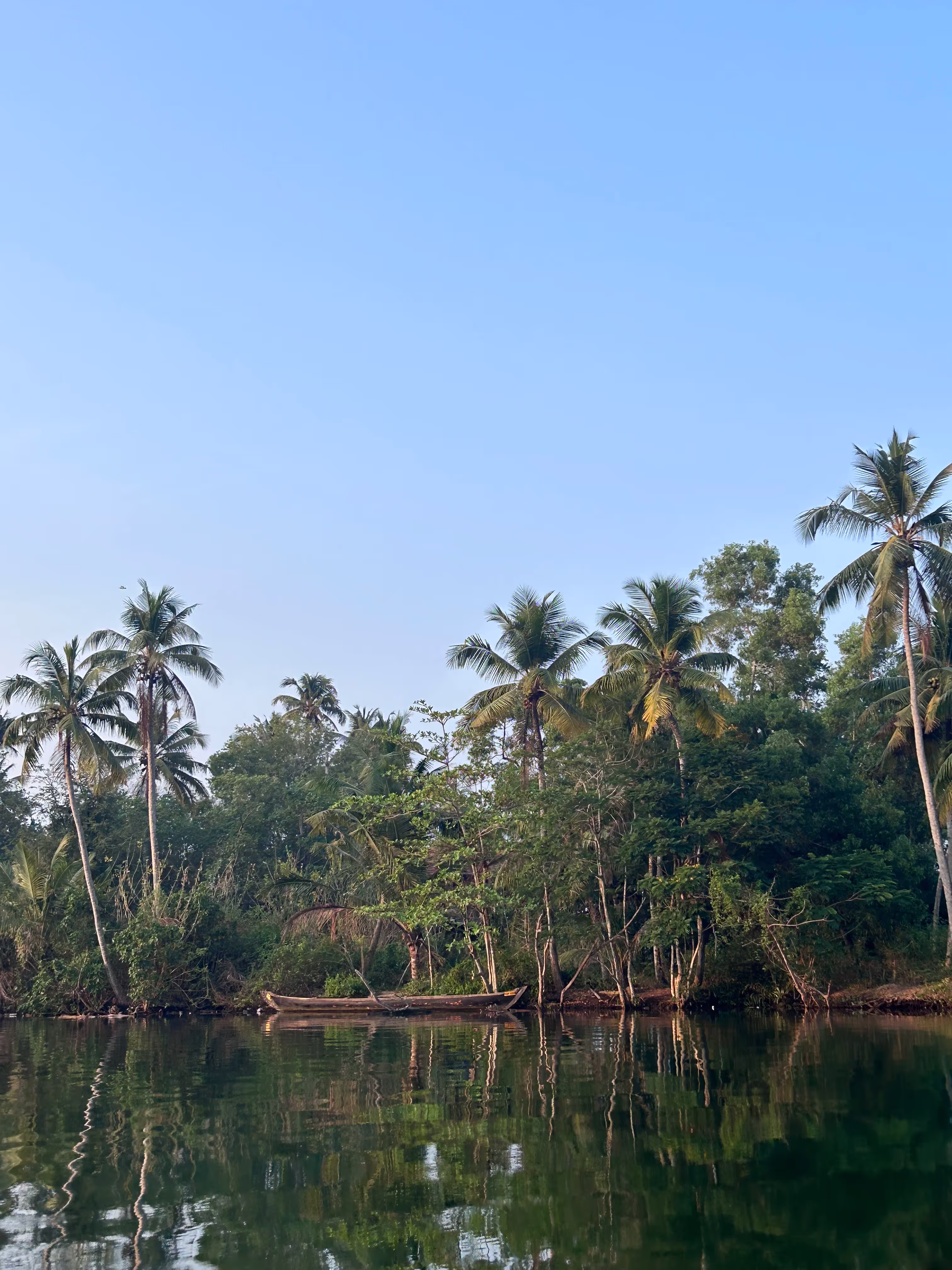there is a boat that is floating in the water near the trees. Image from the location in India