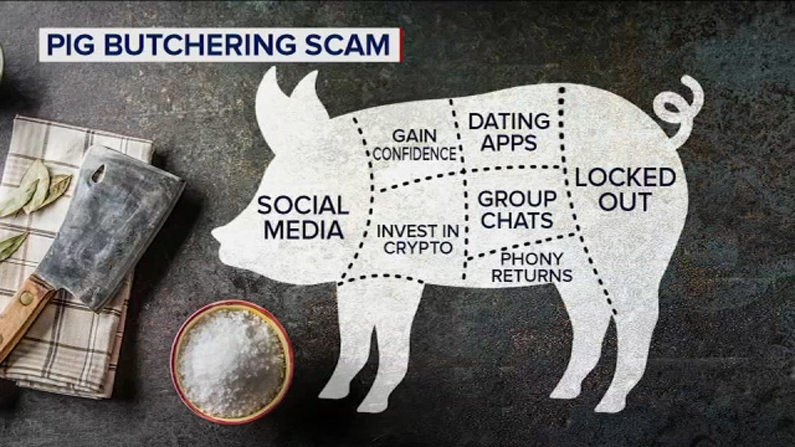 What is pig butchering: Victims in Brooklyn cheated out of millions ...