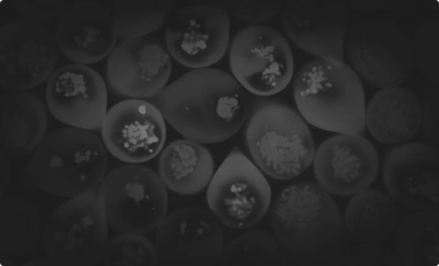 Decorative background for the FluoScore section