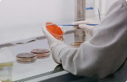 Illustration of reliable laboratory work