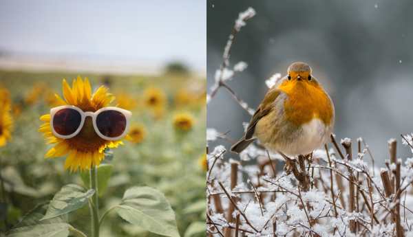 Winter vs. Summer Events - how to choose the perfect seasonal venue