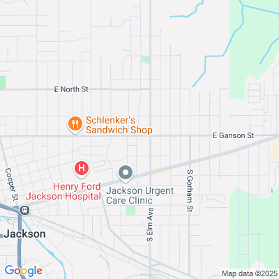 John George Home, Jackson, MI - 1501 E Ganson St