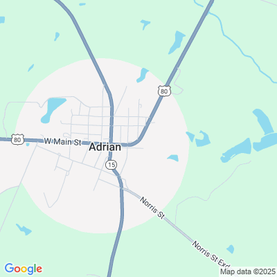 Scott Health & Rehabilitation, Adrian, GA - 12 Smith Ln