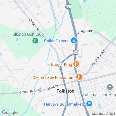 Folkston Park Care and Rehabilitation Center, Folkston, GA - 36261 Okefenokee Dr