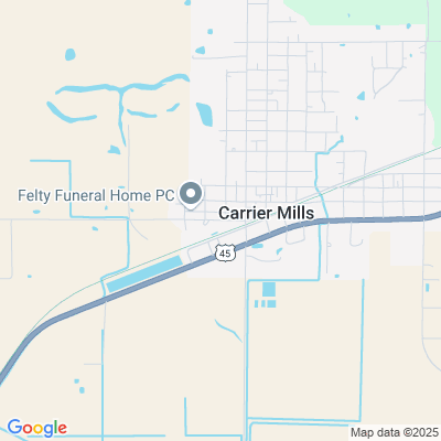 Carrier Mills Nsg & Rehab Ctr, Carrier Mills, IL - PO BOX 68
