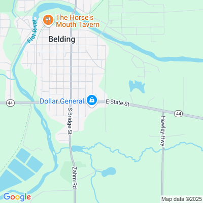Metron of Belding, Belding, MI - 414 E State St