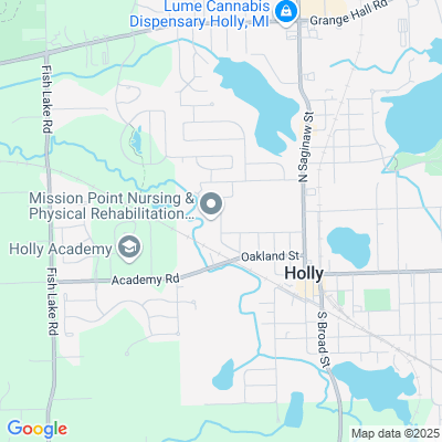 Mission Point Nursing and Rehab Center of Holly, Holly, MI - 313 Sherwood St
