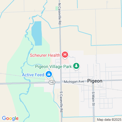 Scheurer Hospital Ltcu, Pigeon, MI - 170 N Caseville Rd