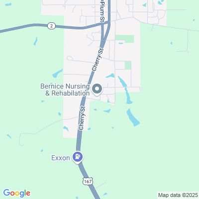 Bernice Nursing and Rehabilitation Center, Llc, Bernice, LA - 101 Reeves St