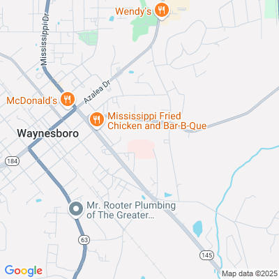 Wayne General Hospital, Waynesboro, MS - 950 Matthew Dr