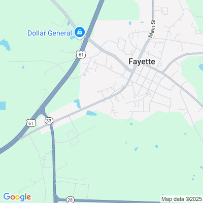 Jefferson County Nursing Home, Fayette, MS - 910 Main St