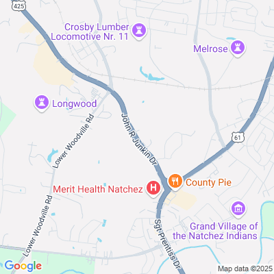 Glenburney Health Care and Rehabilitation Center, Natchez, MS - 555 John R Junkin Dr