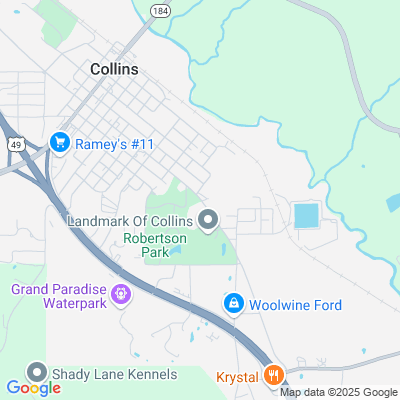 Landmark of Collins, Collins, MS - 1315 S Fir Ave
