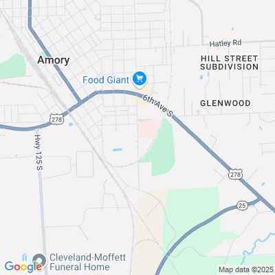 River Place Nursing Center, Amory, MS - 1126 Earl Frye Blvd