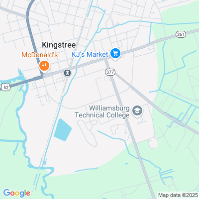 Carlyle Senior Care of Kingstree, Kingstree, SC - 401 Nelson Blvd