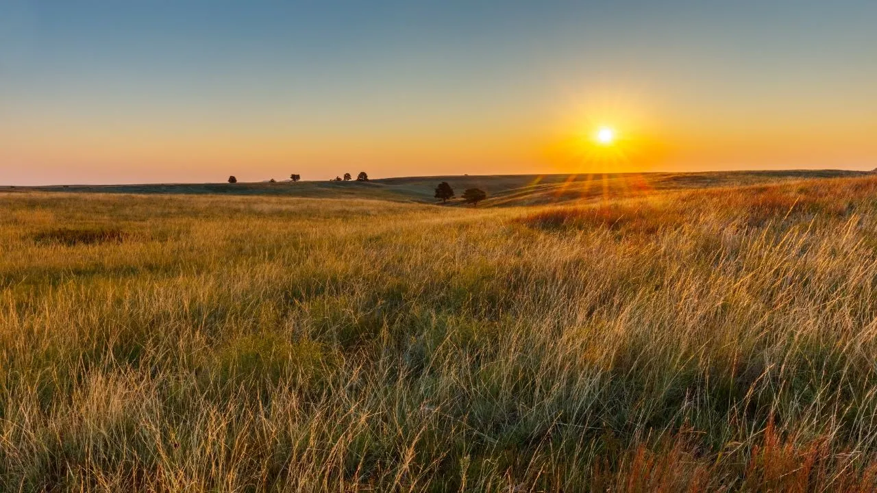 view of a prairie at sunset