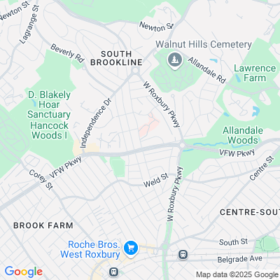 Bournewood Hospital, Chestnut Hill, MA - 300 South St