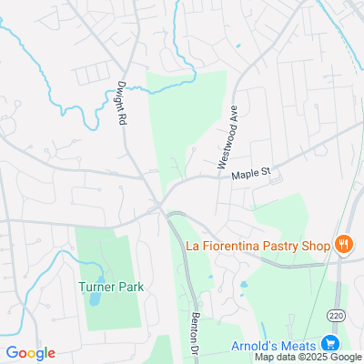 East Longmeadow Skilled Nursing Center, East Longmeadow, MA - 305 Maple St