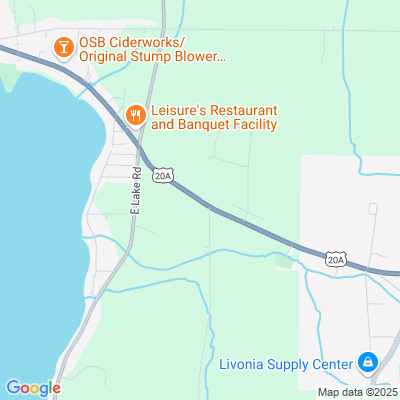 Conesus Lake Nursing Home, Livonia, NY - 6131 Big Tree Rd