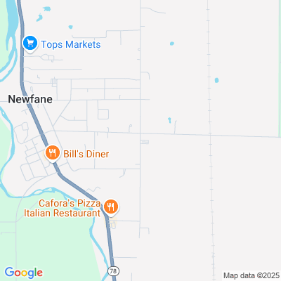 Newfane Rehab & Health Care Center, Newfane, NY - 2709 Transit Rd