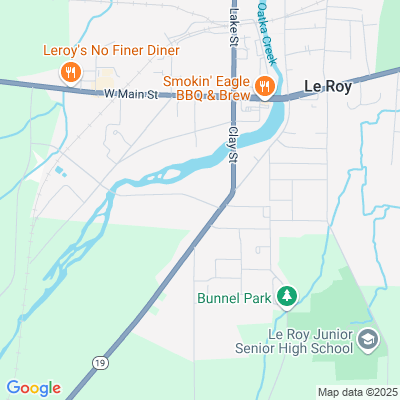 Leroy Village Green Residential Health C F, Inc, Le Roy, NY - 10 Munson St