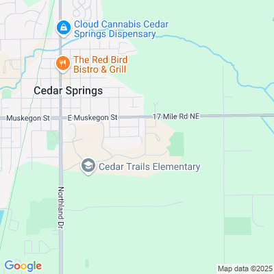 Metron of Cedar Springs, Cedar Springs, MI - 400 Jeffery St
