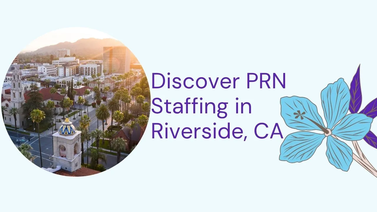 shallow river flowing through a wooded area