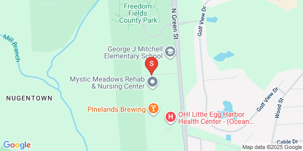 Mystic Meadows Rehab & Nursing Center, Little Egg Harbor Twp, NJ - 151 9th Ave
