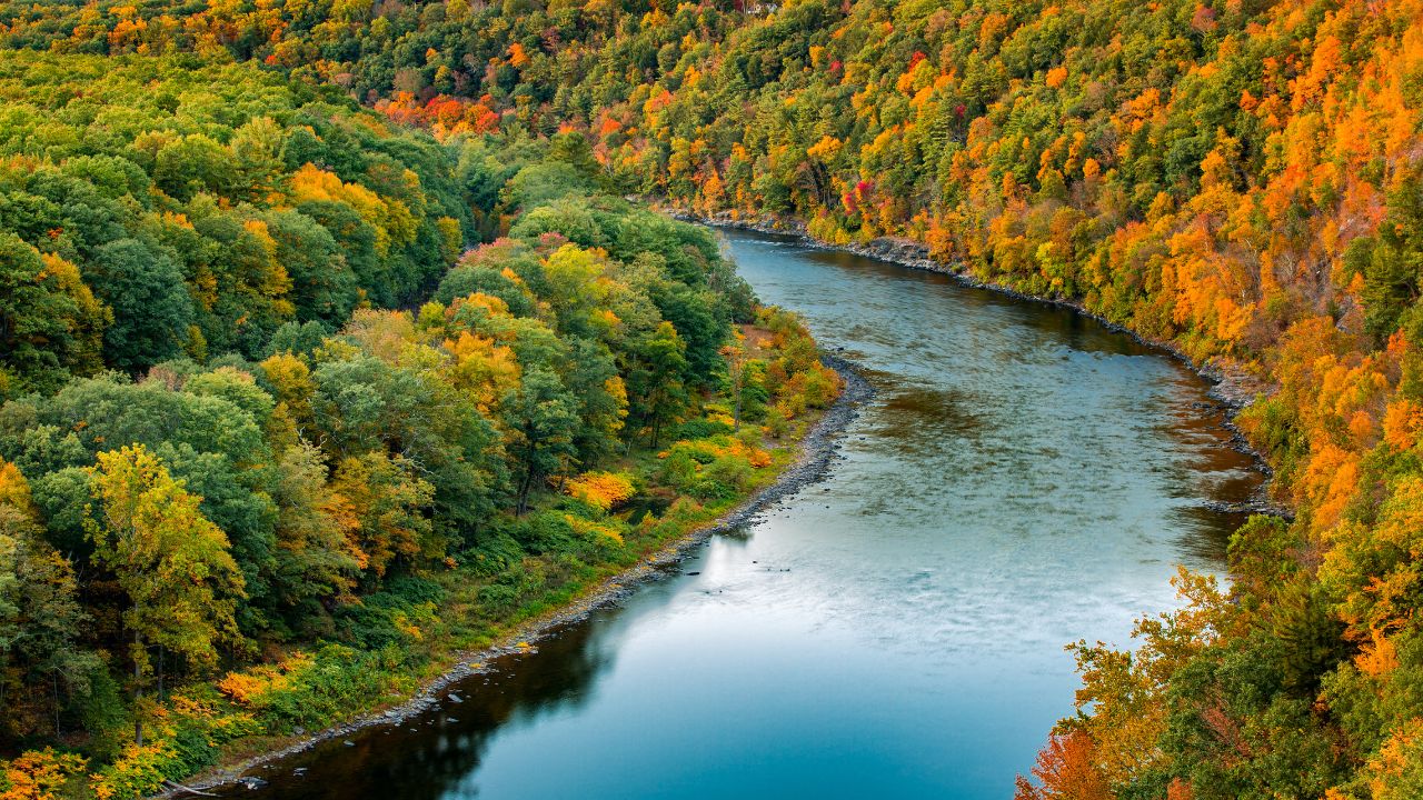 river flowing through trees in Delaware