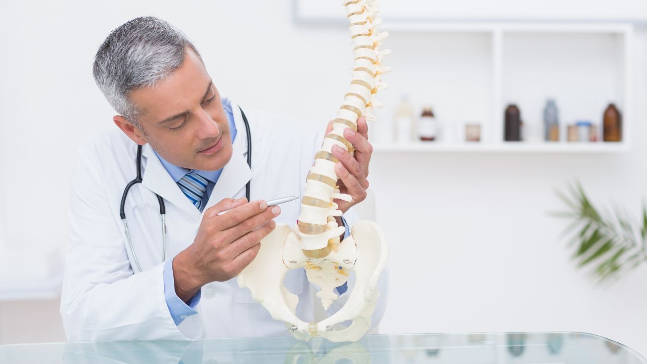 doctor showing a plastic spine