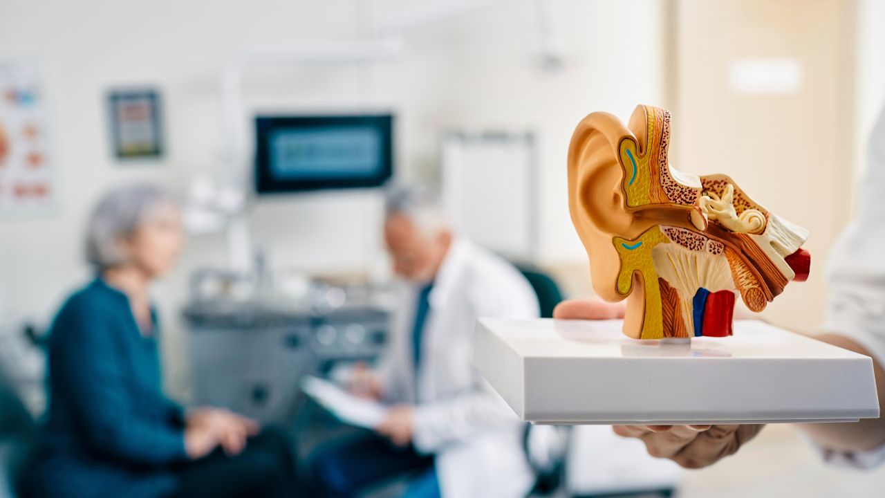 an ear with all the parts , and a patient with the doctor behind