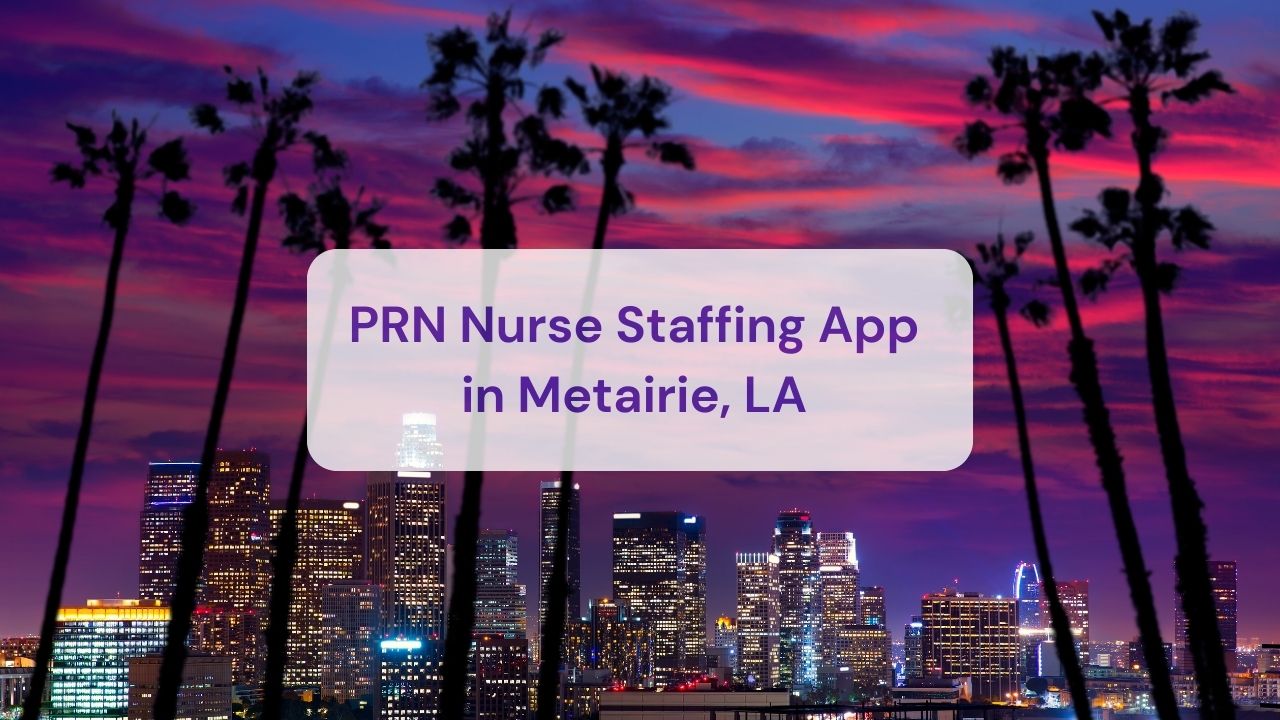 the sunset , buildings and palm trees