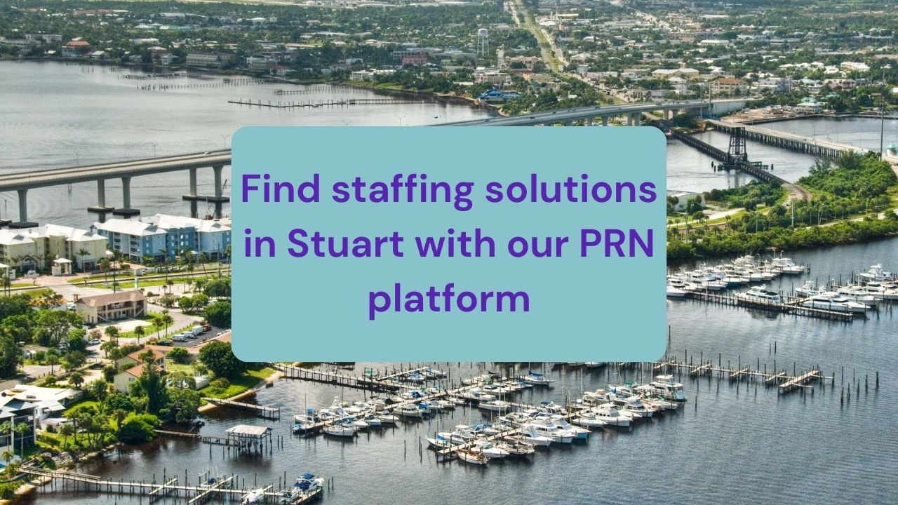 picture of a marina full of boats