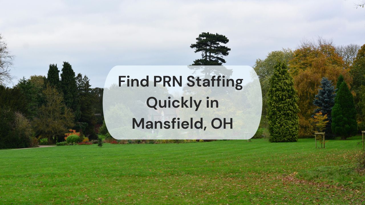 green lawn in a park surrounded by tall trees