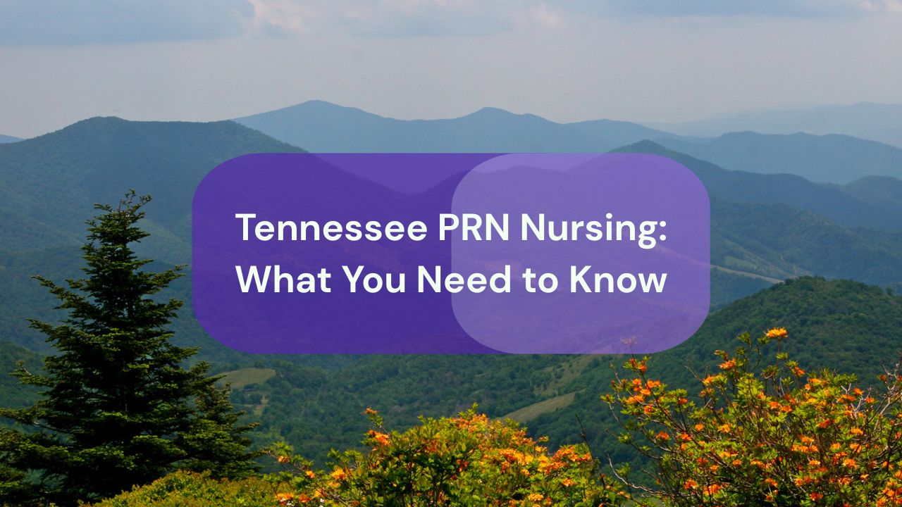 mountain landscape with layered blue ridges and flowering shrubs in the foreground