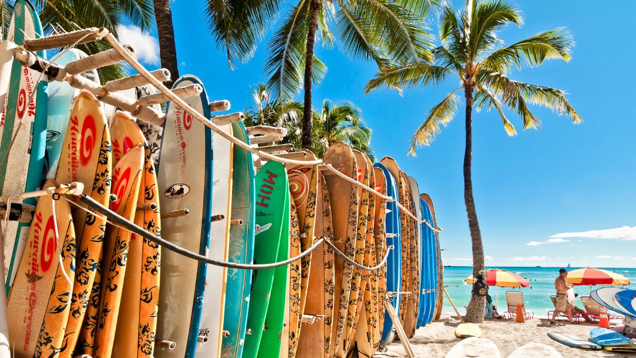 Surfboards and a beach in the background