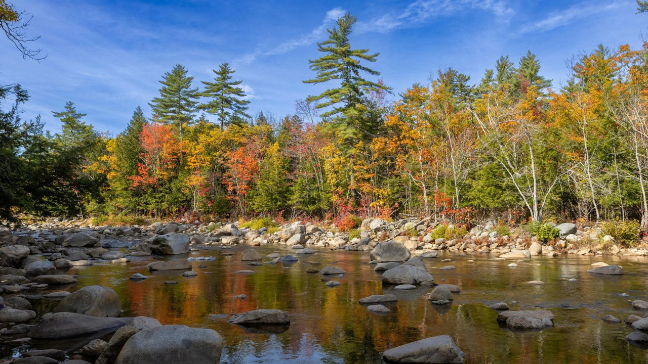 Rocky stream reflecting autumn trees under a blue sky