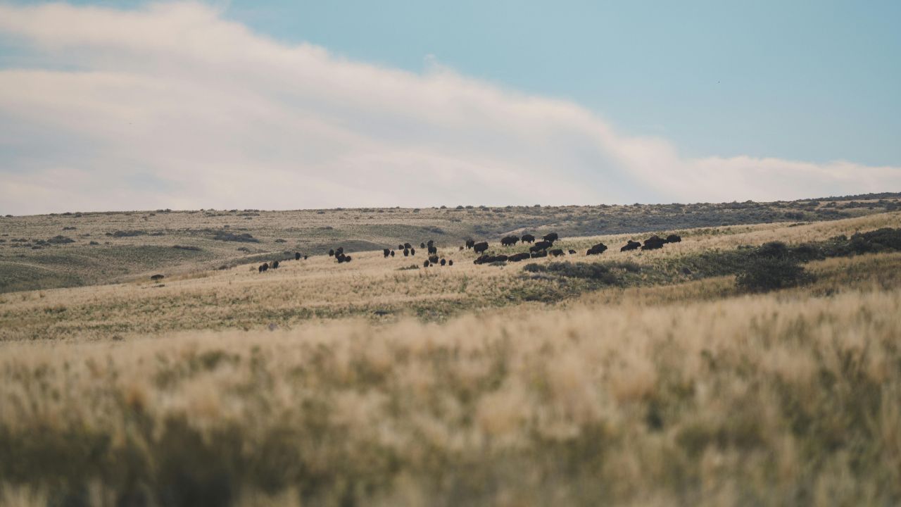 picture of a mountain