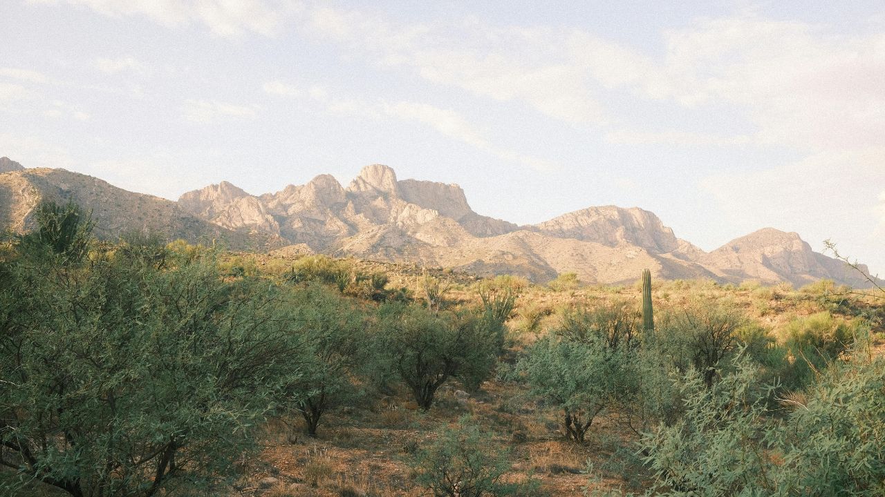 a picture of a desert