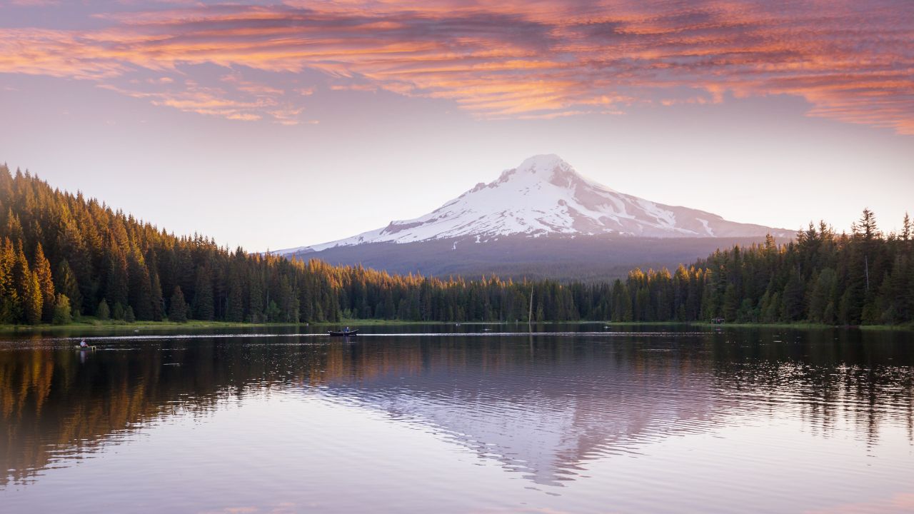 A picture of the forest and a lake