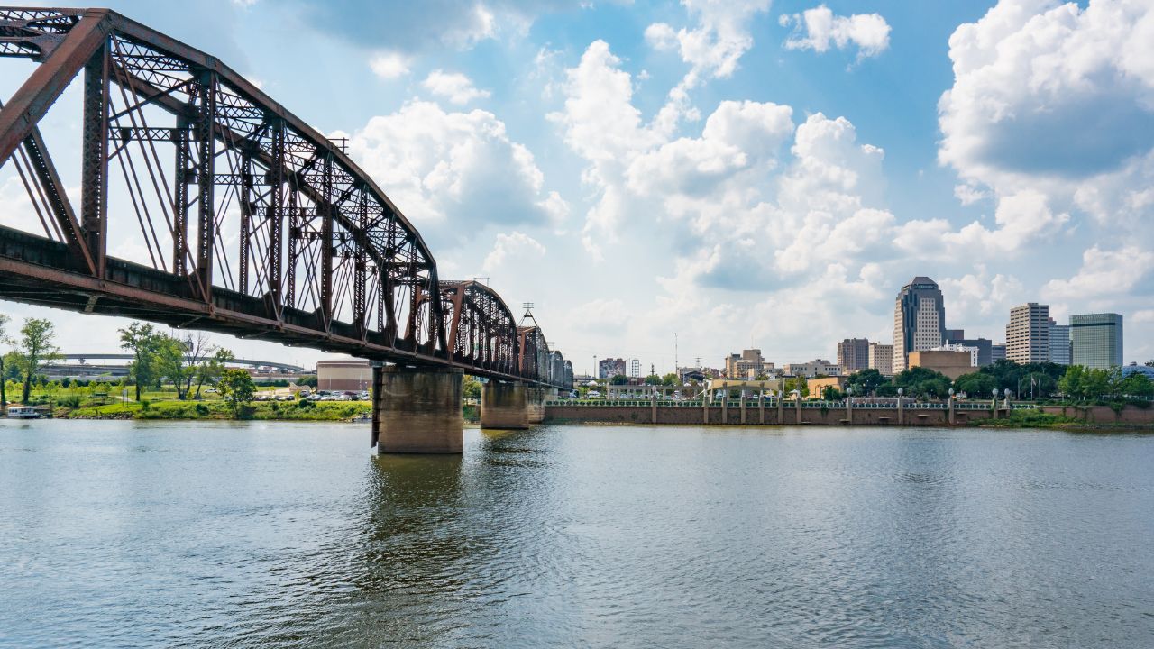 a picture of the city and a bridge