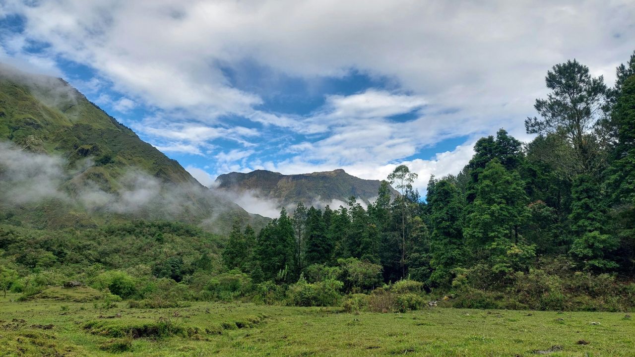 a picture of a green mountain