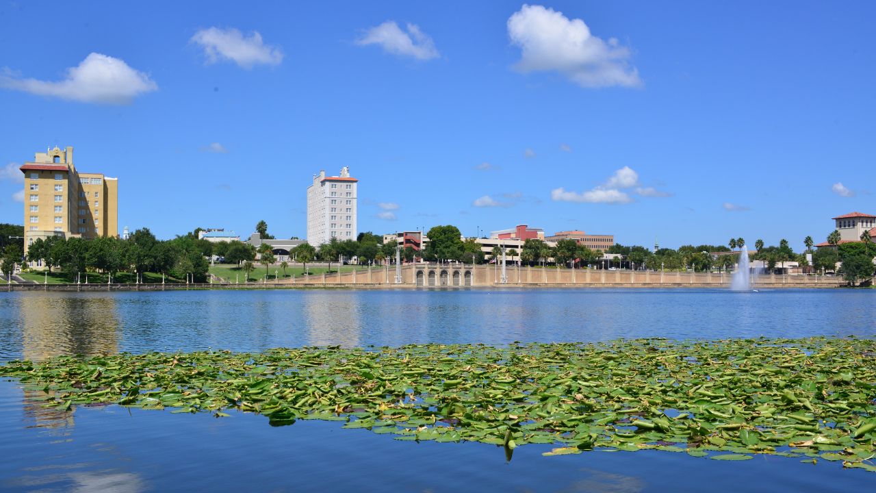 a picture of the city