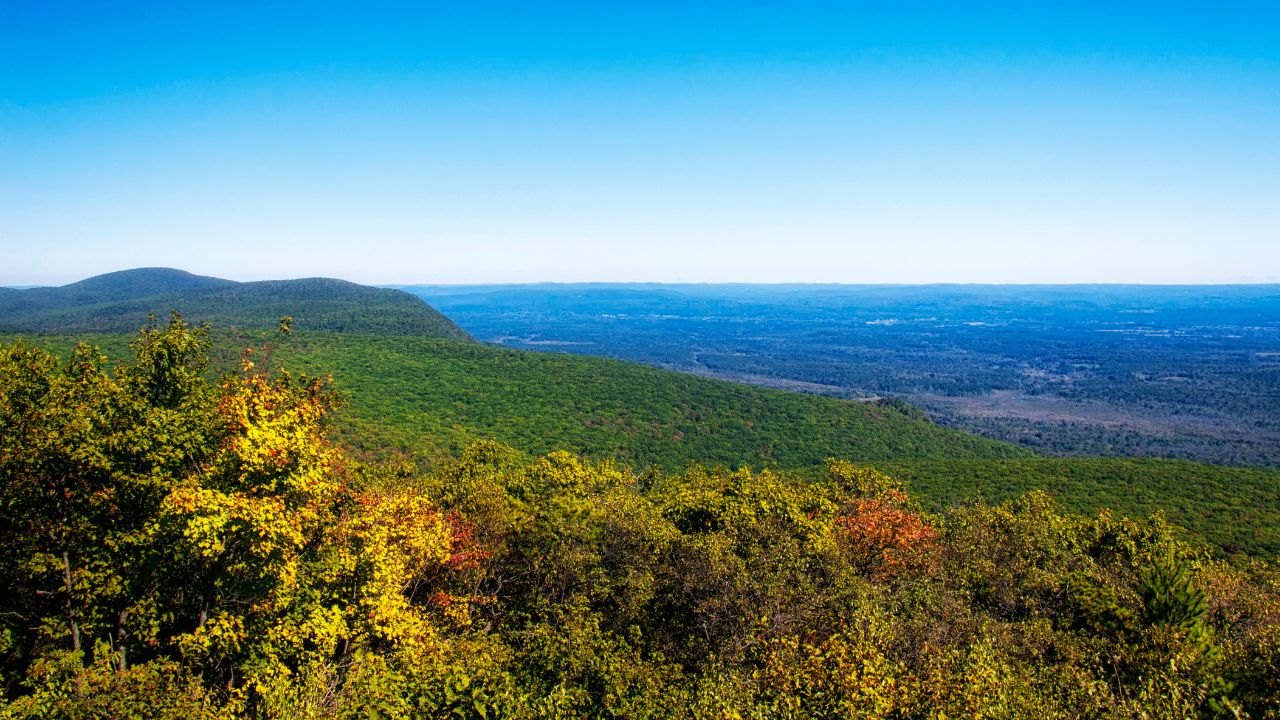 a picture of the a Landscape