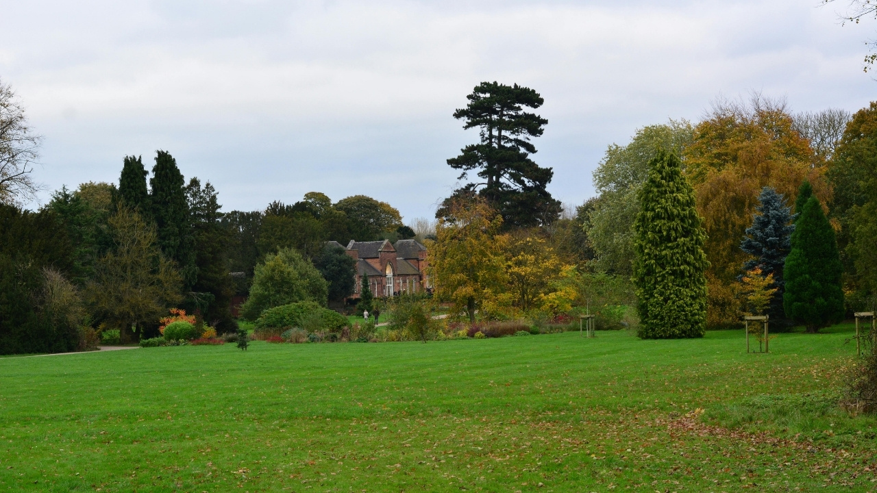 green lawn in a park surrounded by tall trees