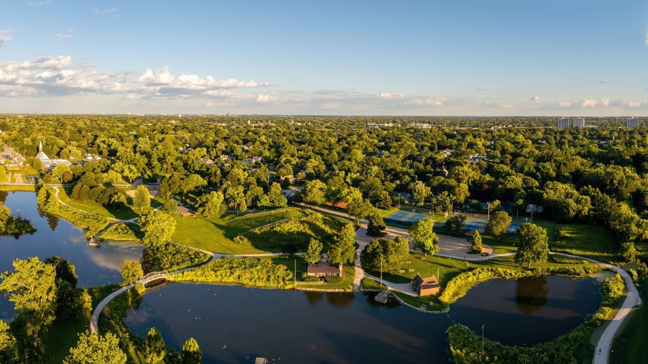 A view of a lake and trees
