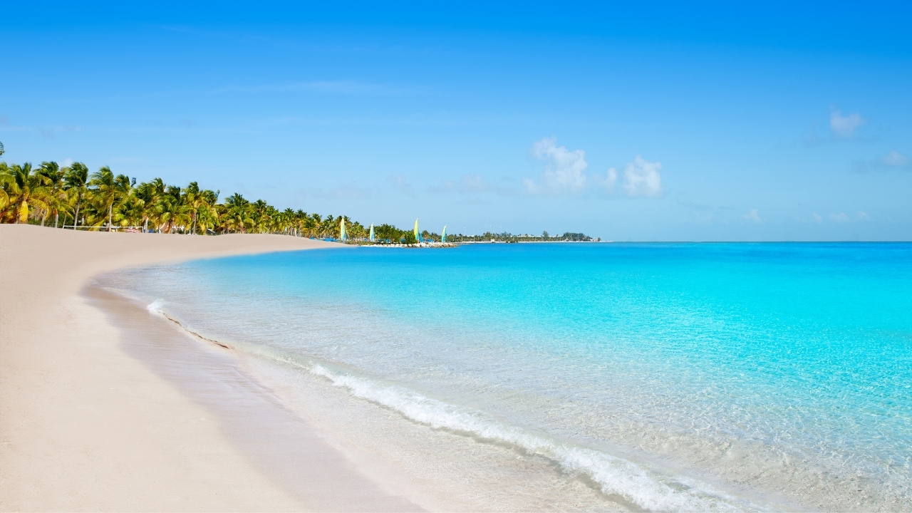 a view of the beach with houses around