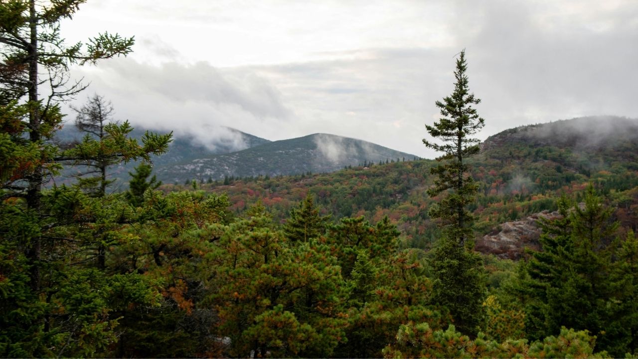 Trees, mountains and clouds